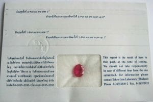 Example of local certificate in Bangkok. Tokyo Lab Certificate Sample Back